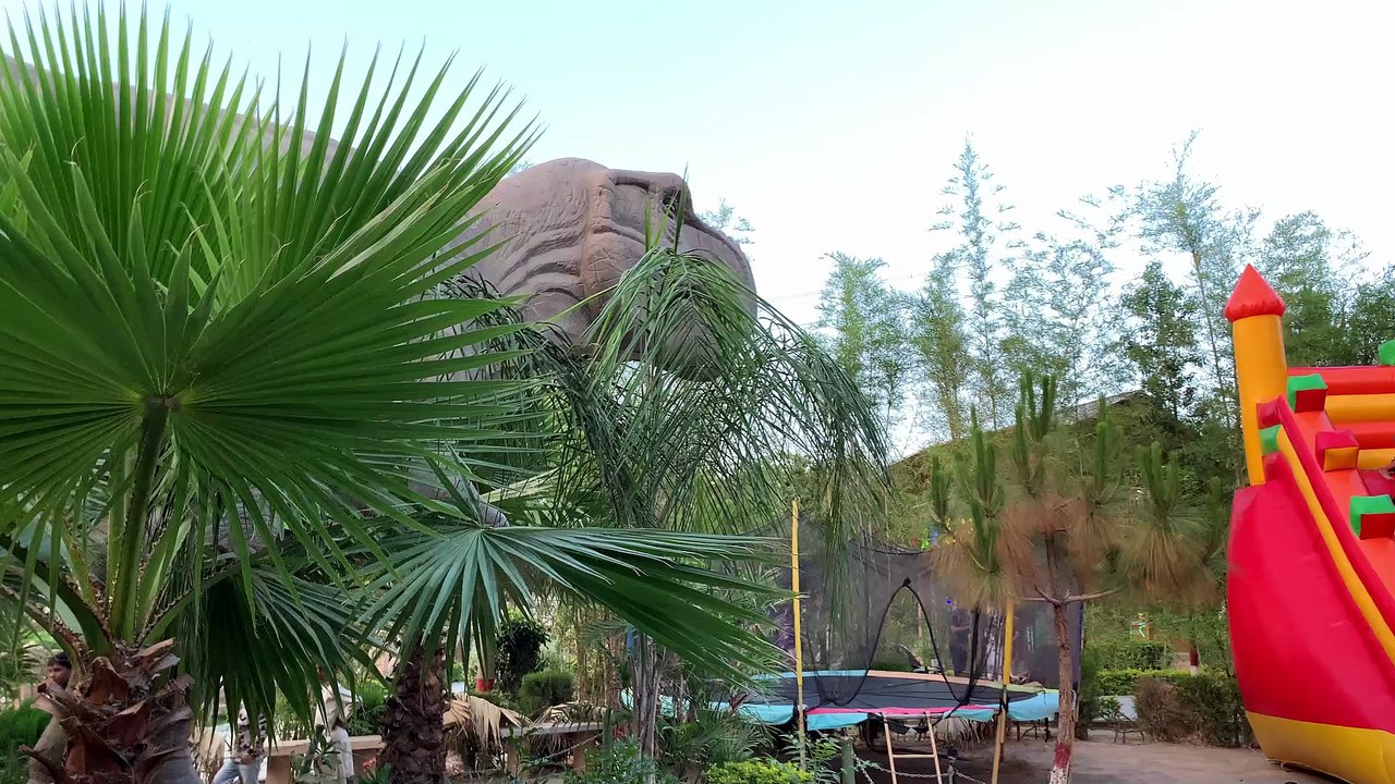Big Dinosaurs