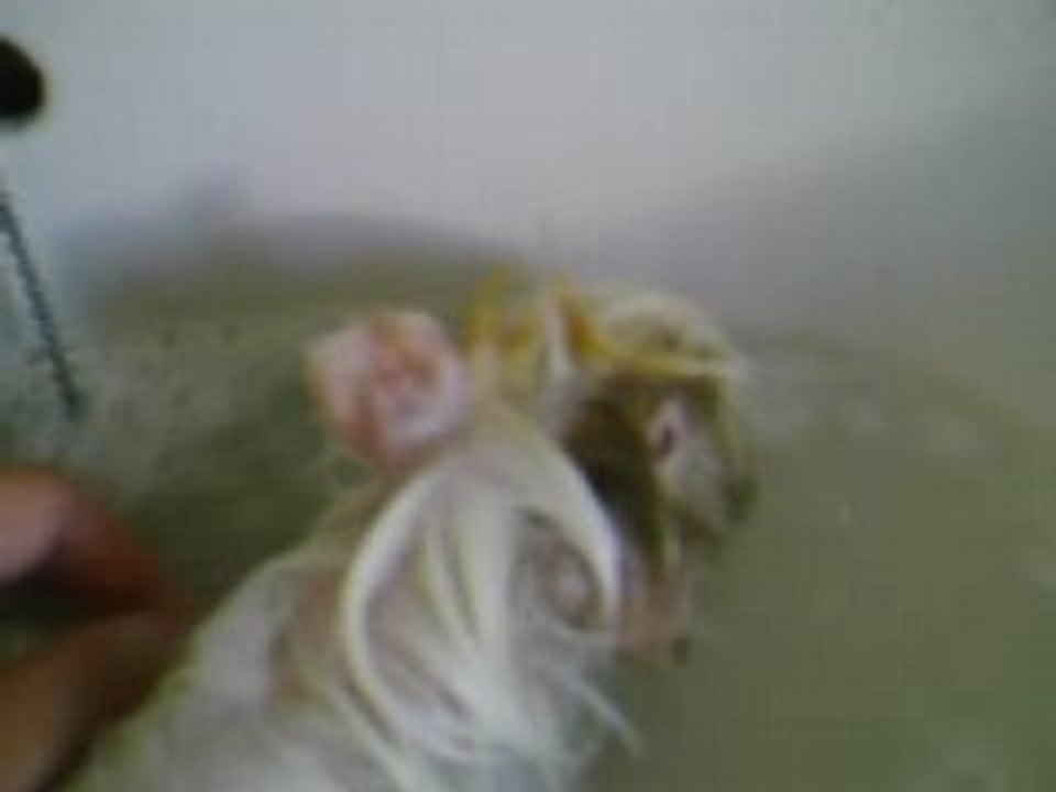 Bain 1 canelle