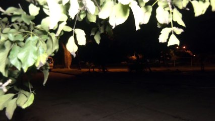 101 VICTIMA ATRACO T- 1.31 SEGU