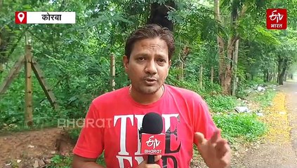 दिया तले अंधेरा, ऊर्जाधानी के 124 मजरा टोला आज भी बिजली से वंचित