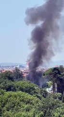 Firenze, incendio nel parco del Mensola