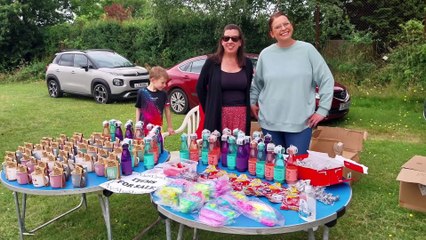 Picture gallery: Knaphill Schools PTA annual Summer Community Fair