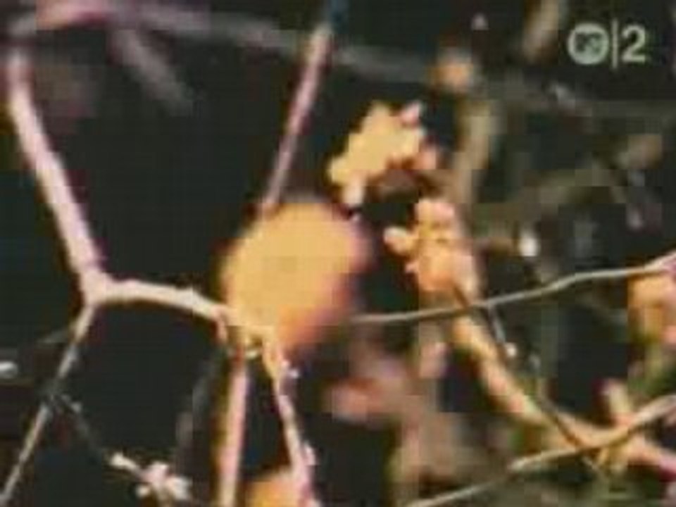 Stone Temple Pilots - Wicked Garden