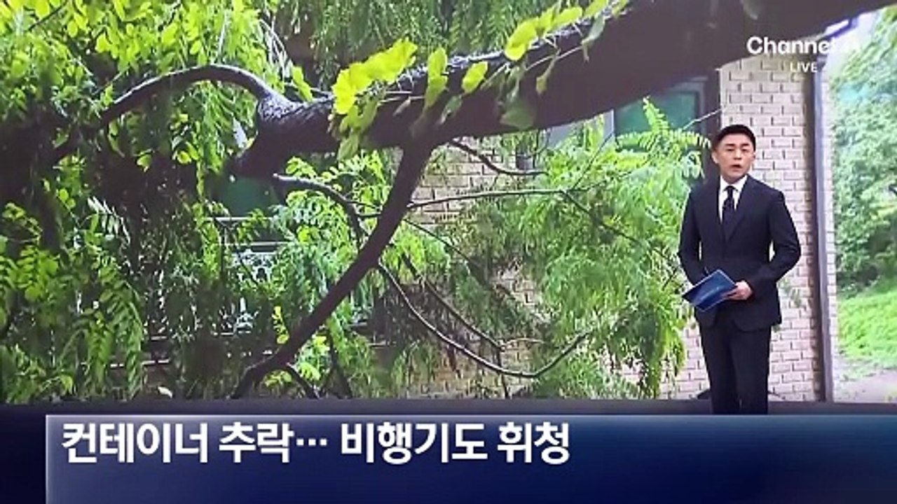 강풍에 대형 컨테이너 추락…비행기도 휘청