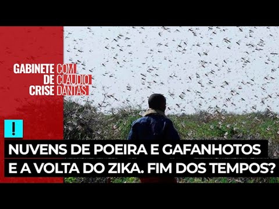 Fim dos tempos? Nuvem de poeira Godzilla, nuvem de gafanhotos e uma nova linhagem do zika vírus