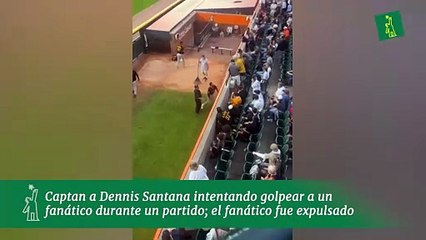 Captan a Dennis Santana intentando golpear a un fanático durante un partido; el fanático fue expulsado