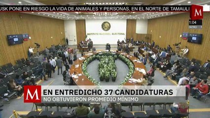 Investigan a menor de 12 años por matar a una mujer argentina en Puebla. Elisa Alanís, 19 de junio
