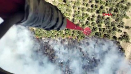 İzmir'de orman yangını: 7 helikopter müdahale ediyor