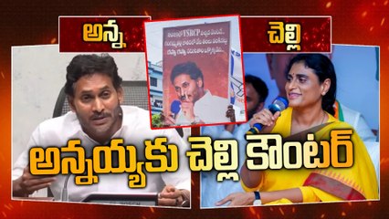YS Sharmila Counter to YS Jagan | రఫ్ఫా రఫ్ఫా నరుకుతారా | Oneindia Telugu