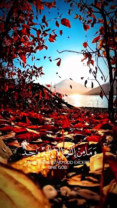 Beautiful Quran1