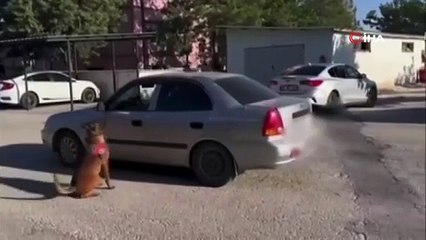 Ekmeğin içinden çıkan şoke etti