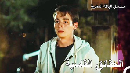 علم علي بكل شيء - مسلسل الياقة المغبرة 43
