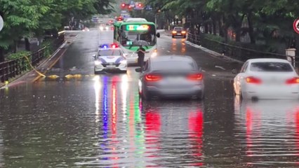 고양 식사동에서 도로 침수...차량 2대 피해 / YTN