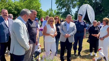 Sinop turizminde lavanta rüzgarı