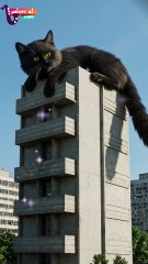 "Qamar Wa Layali Moon and Nights - Feel the Love in 23 Seconds!" #foryou  #cuteanimals #cowvideos