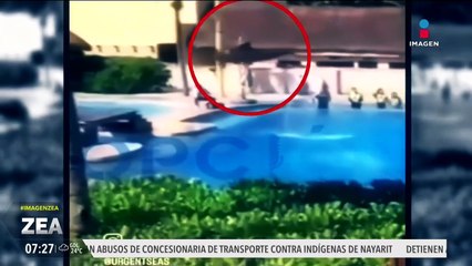 Animalistas van contra delfinarios por la cruda realidad que viven los delfines