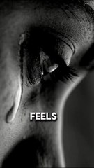 Dogs Don’t Cry… But They Still Feel 💔🐶 | Heartbreaking Truth