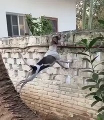 Trump Watching Iran Vas Isreal