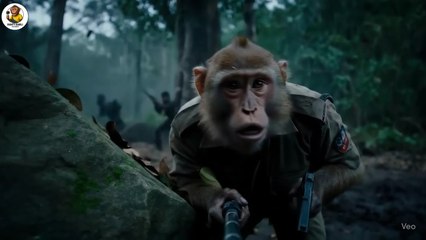 पाकिस्तान की आर्मी ने पकड़ लिया बॉर्डर पे😨__ Ai monkey video __ Ai monkey v_HD