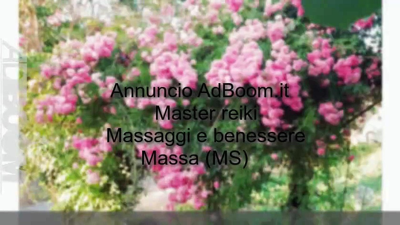 Master reiki