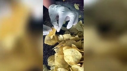 ext-decomiso-en-carcel-de-alajuela-200625