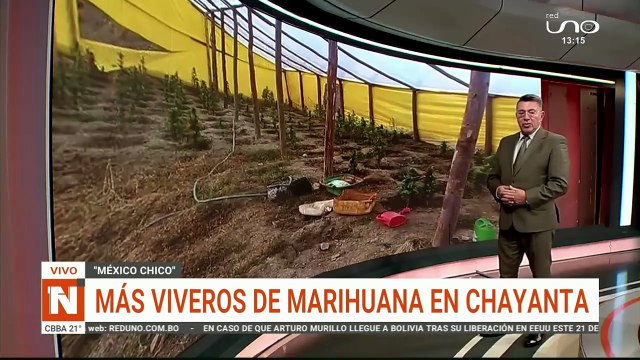 VIVEROS EN CHAYANTA