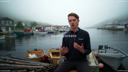 Rebuilding Capelin Your Voice Matters