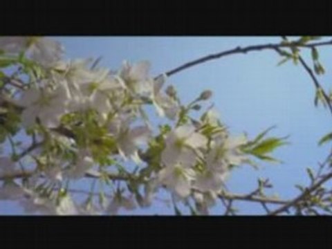 anasheed Muhammad al husayn