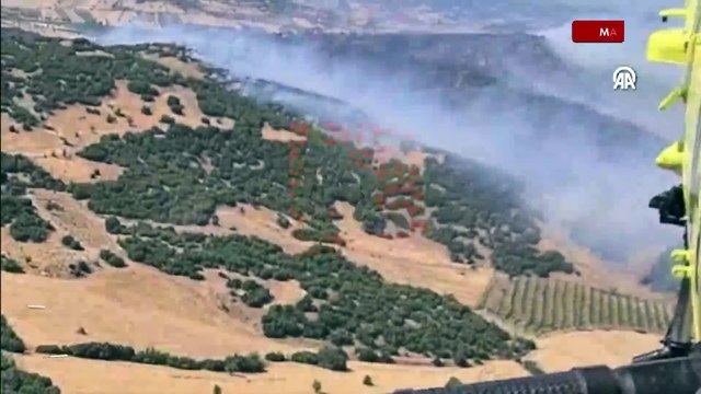 Manisa'nın Kula ilçesinde orman yangını