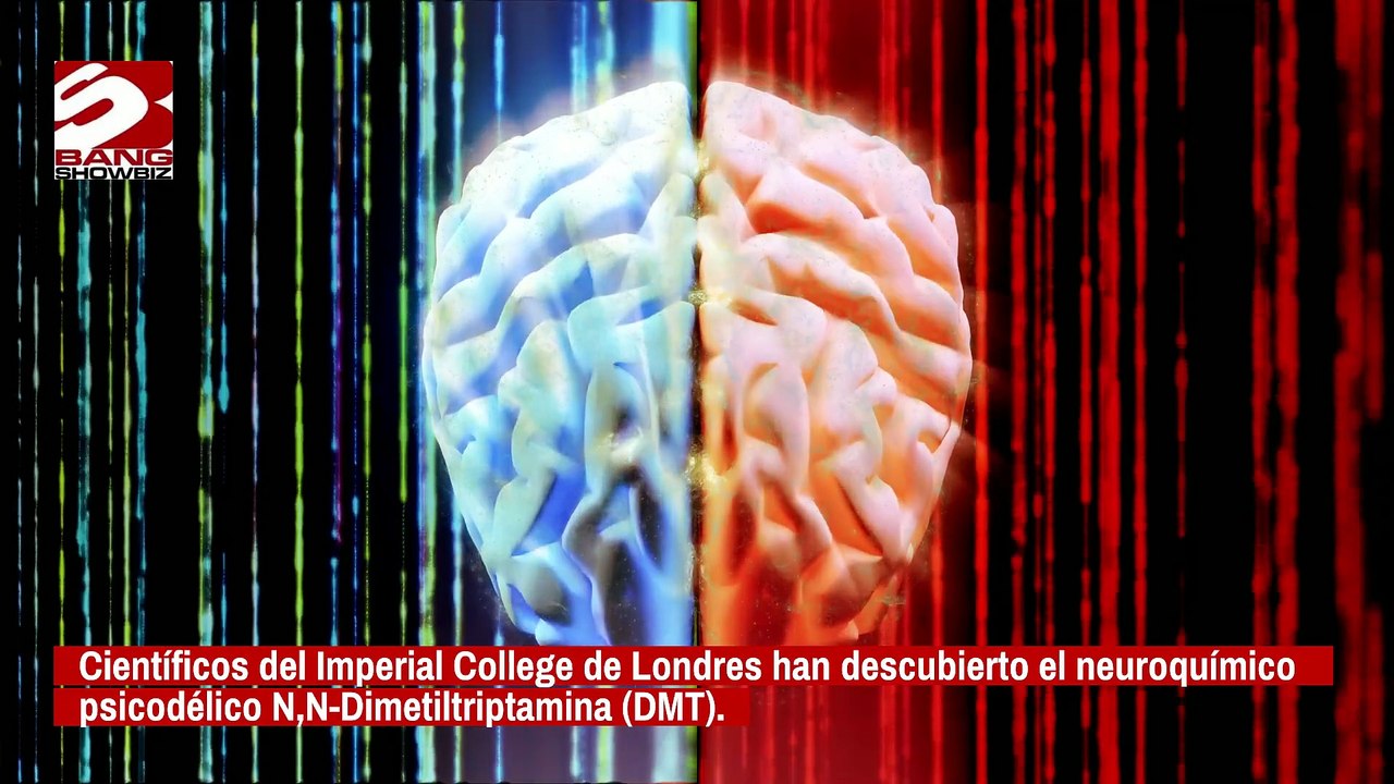 Hallan en el cerebro una sustancia química que hace creer en el más allá