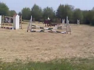 Concours Boué sur Tom - 60cm