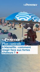 Plan canicule à Marseille : comment réagir face aux fortes chaleurs ?