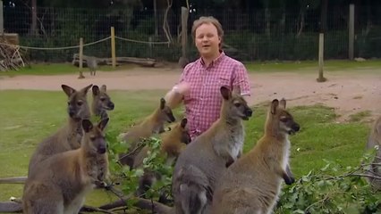 Cbeebies Something Special We're All Friends Hello Song Series 9...mp4