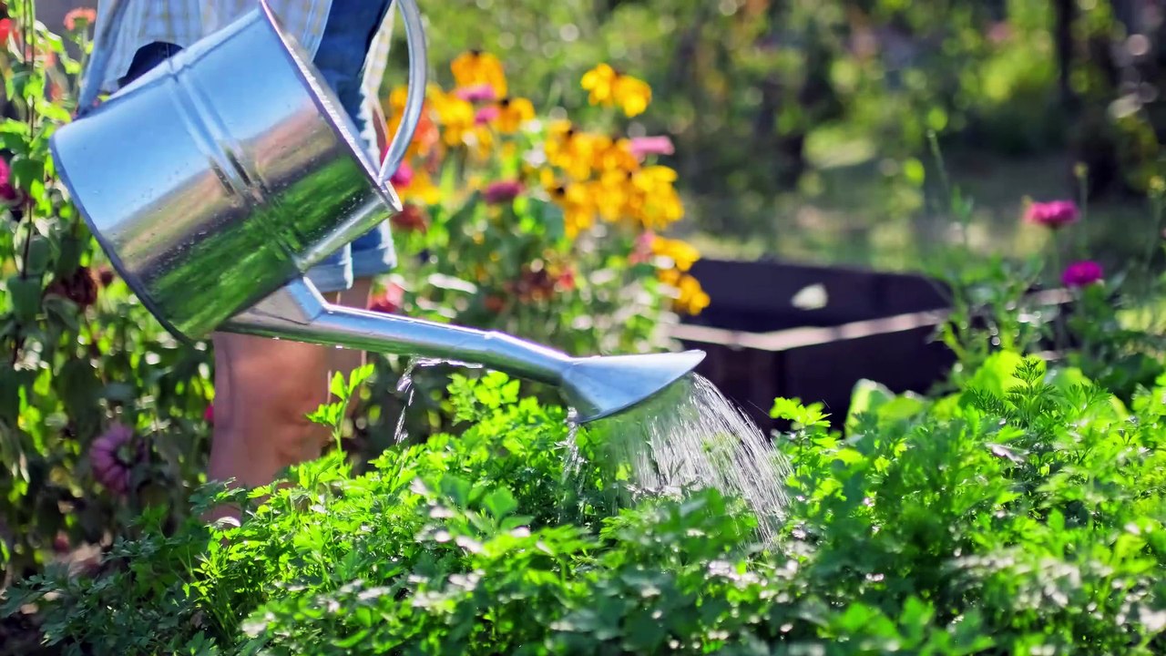 3 ways to keep your garden happy and healthy