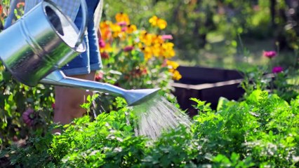 3 façons de garder votre jardin heureux et sain
