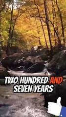 Genesis chapter 11. Verse 17 to 32.