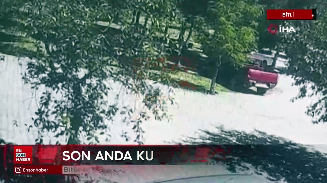 Bitlis’te köpeklerin saldırısına uğrayan çocuk son anda kurtarıldı