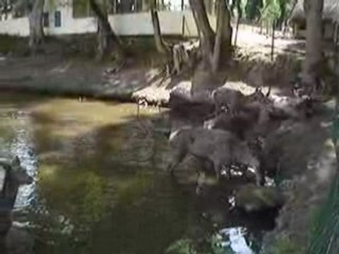 Journée au parc Animalier du Quinquis