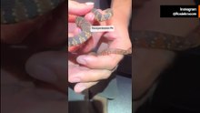 Zwei Schlangen, eine Lektion: Das Aussehen täuscht oft | Video von Biologin Rosie Moore
