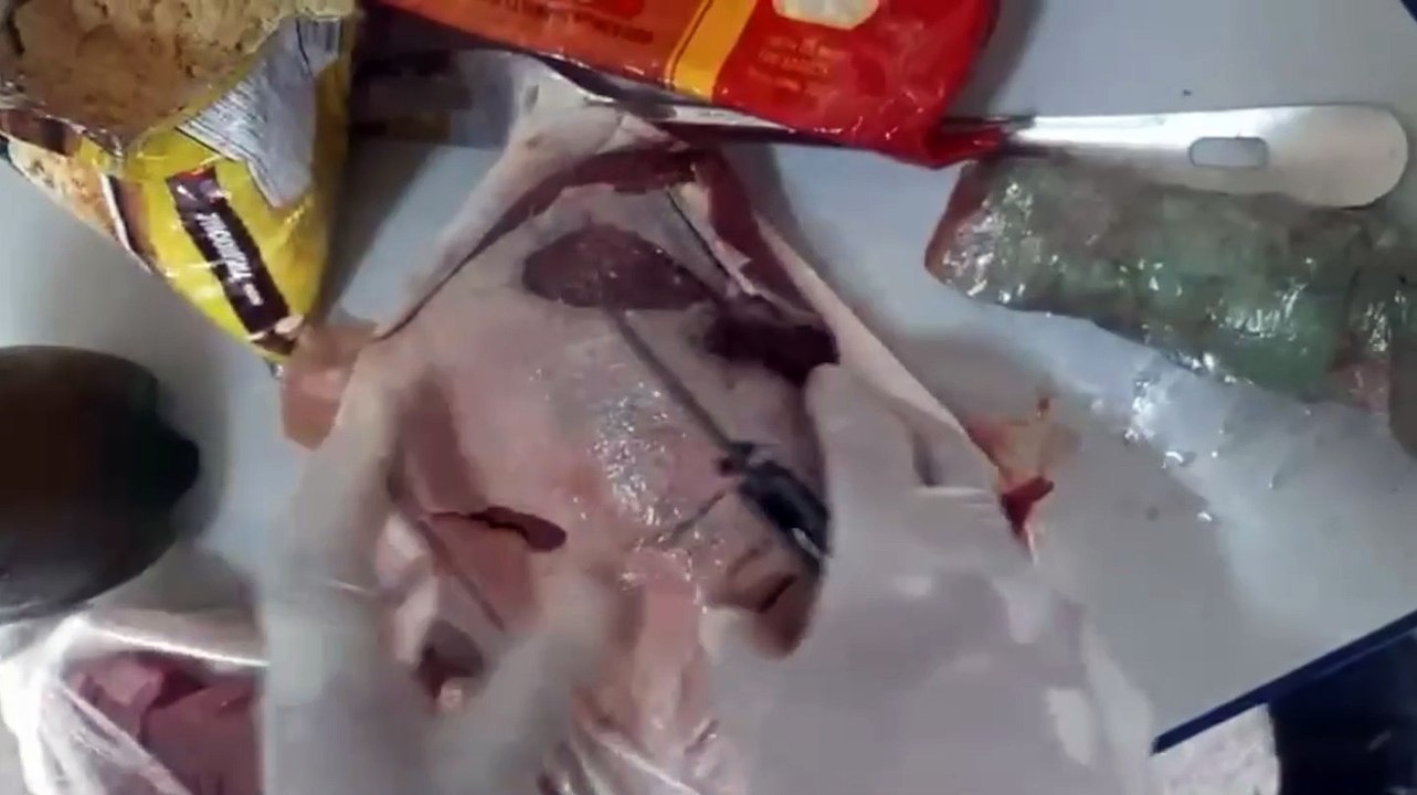 Exposta: Mulher Tenta Entrar com Drogas Disfarçadas em Carne no Presídio - A Última de Uma Série de Tentativas Fracas em Recife