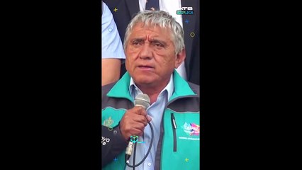 Técnica Telligton Ttouch para calmar mascotas en San Juan