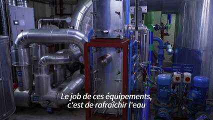 Cómo el río Sena mantiene fresco el Louvre en verano