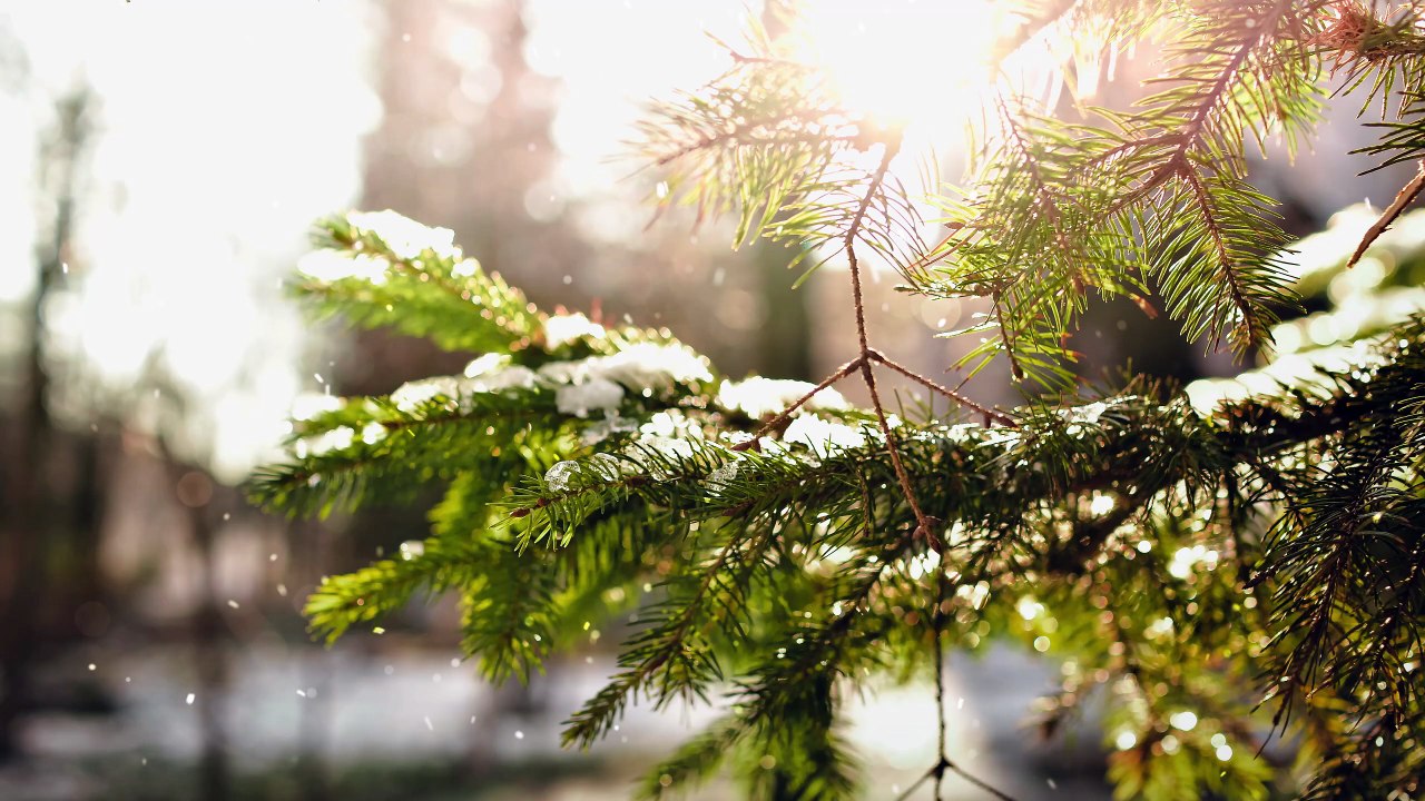 winter