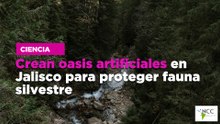 Crean oasis artificiales en Jalisco para proteger fauna silvestre