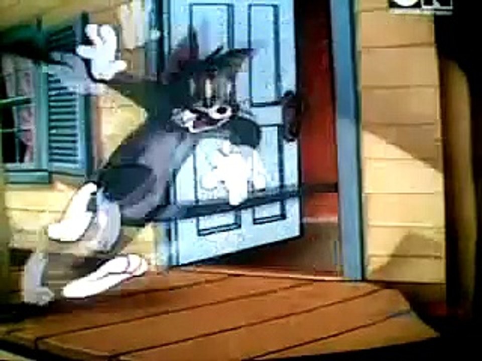 Tom And Jerry Cartoon