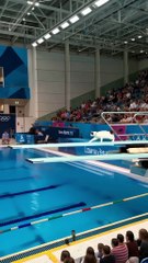 Cat Olympics 2025 🐱