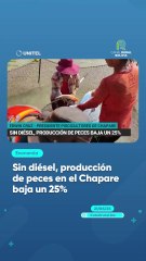 Sin diésel, producción de peces en el Chapare baja un 25%