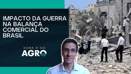 Conflito geopolítico influencia nas cotações de milho, soja, açúcar e algodão | HORA H