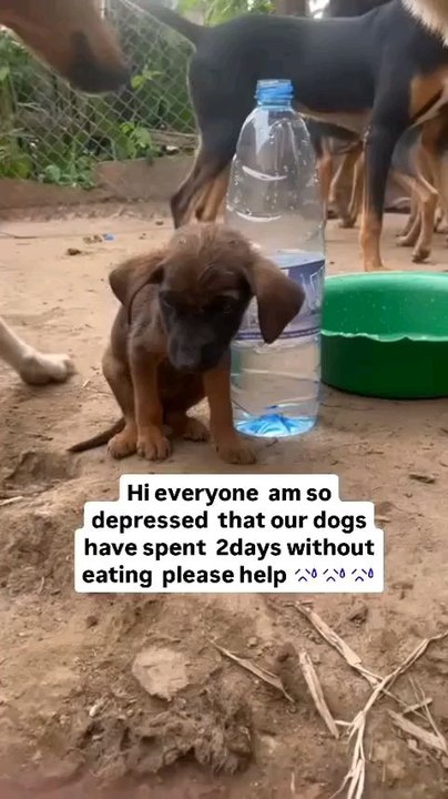 Follow and give alike until we get someone to help us with food