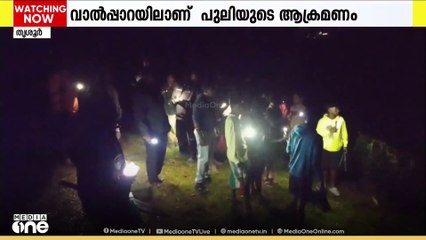 വാൽപ്പാറയിൽ പുലി കടിച്ചുകൊണ്ടുപോയ പെൺകുട്ടിക്കായി തിരച്ചിൽ തുടർന്ന് അധികൃതർ